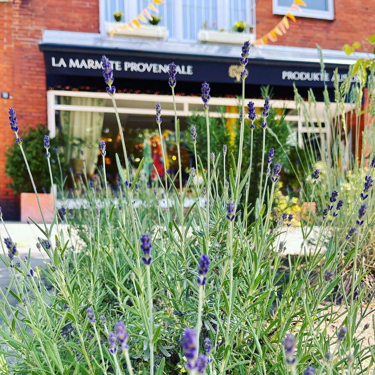 Die Provence in Hamburg